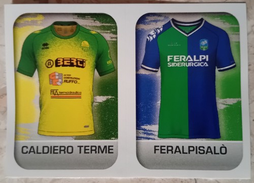 Figurina calciatori panini - figurina,